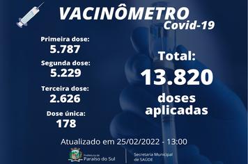 Vacinômetro - COVID-19