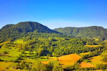 Foto - Álbum de fotos de Paraíso do Sul