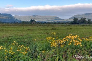 Foto - Álbum de fotos de Paraíso do Sul