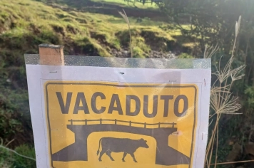 Foto - Caminhada Internacional - Caminhos na Colônia Santo Ângelo
