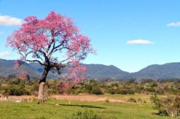 Foto - Álbum de fotos de Paraíso do Sul
