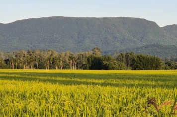 Foto - Imagens de Paraíso do Sul