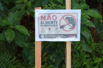 Foto - Caminhada Internacional - Caminhos na Colônia Santo Ângelo