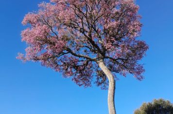 Foto - Álbum de fotos de Paraíso do Sul