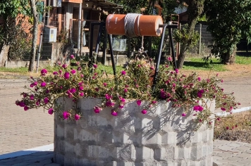 Foto - Imagens de Paraíso do Sul