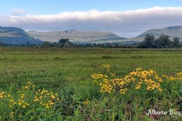 Foto - Álbum de fotos de Paraíso do Sul