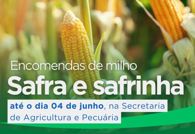 Prorrogado as encomendas de milho safra e safrinha (até o dia 04 de junho)