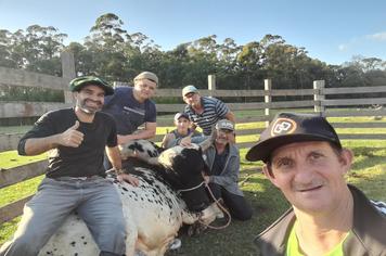 Práticas de defesa sanitária animal no município