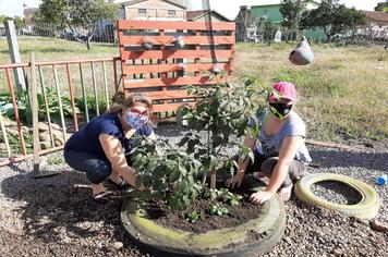 A plantação de flores segue ocorrendo no município