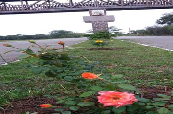 Campanha Florir Paraíso segue em andamento no município
