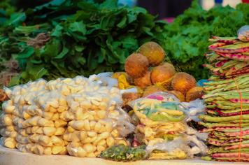 Prefeitura incentiva criação de Agroindústrias no município