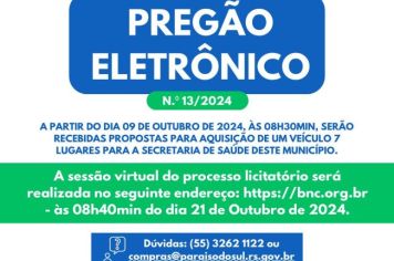 PREGÃO ELETRÔNICO N.º 13/2024