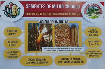 Emater Paraisense possui disponíveis para venda sementes de Milho Crioulo