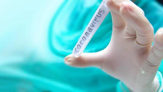 Esclarecimentos sobre CORONAVIRUSS-COVID-19