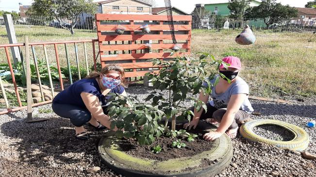 A plantação de flores segue ocorrendo no município