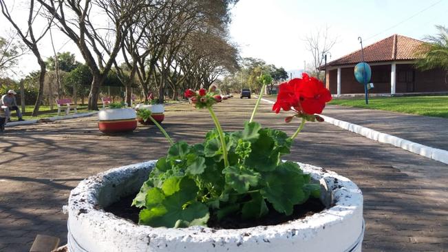A Campanha Florir Paraíso começa a ganhar forma