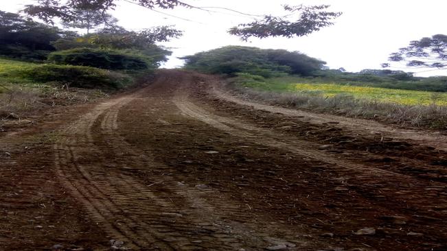 Seguem os trabalhos nas estradas municipais