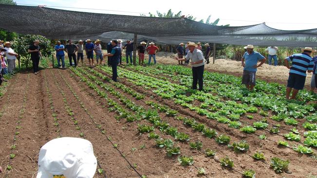 Paraíso do Sul receberá kits de irrigação para implantação em propriedades