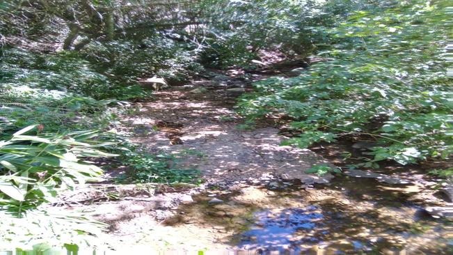 Paraíso do Sul declara Situação de Emergência devido á Estiagem