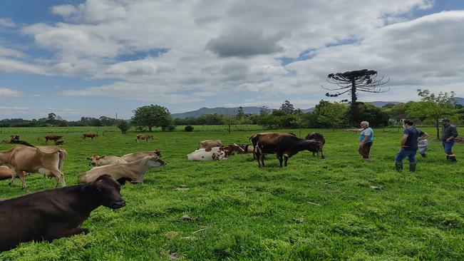 Programa Gutte Milch recebe visita de professores da UFSM